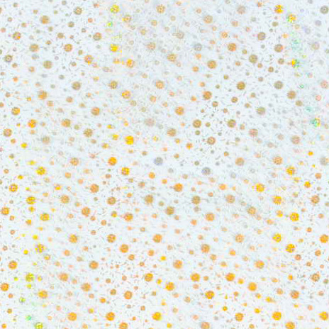 DKL57A.SC07-80-20