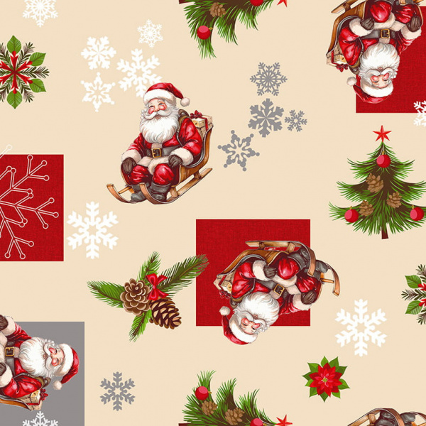 NOEL.Bкадр (1)
